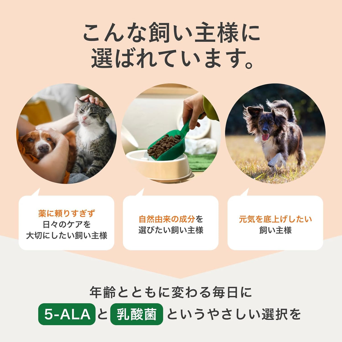 [犬猫用] 5-ALA サプリメント 5-ALA×乳酸菌 【2セット(240粒)】